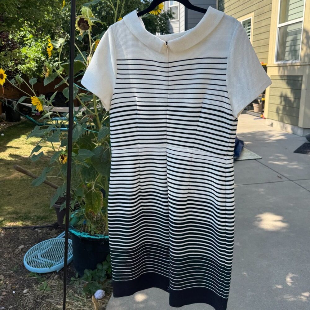 Talbots Black and White Knee-Length Dress Short Sleeve Accent Collar - Picture 9 of 9